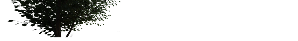 Image présentant une forme sombre avec des éléments verts, suggérant une silhouette d'arbre dans l'obscurité. Image présentant une forme sombre avec des éléments verts, suggérant une silhouette d'arbre dans l'obscurité.