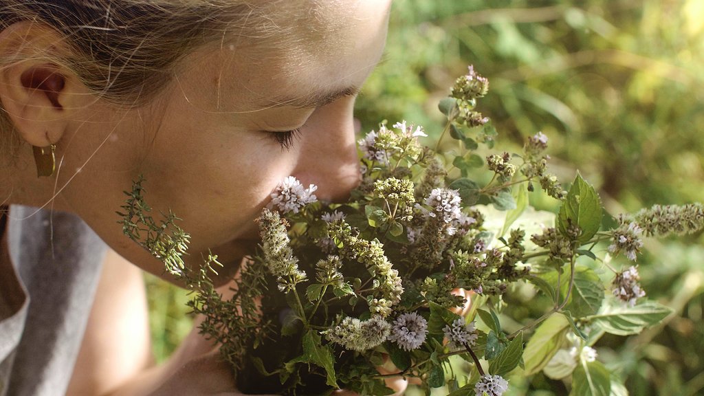 Image d'une personne sentant un bouquet de fleurs dans un environnement naturel. Dominante verte. Image d'une personne sentant un bouquet de fleurs dans un environnement naturel. Dominante verte.