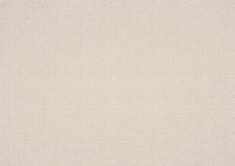 Toile de store: shell (N° de motif: A | 3-708), Collection: evermore, Vue: Lumière transmise