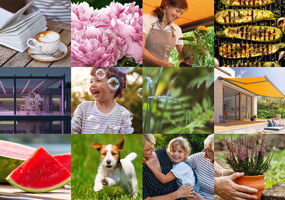 Mosaïque colorée de fleurs, enfants, animaux, fruits et scènes de vie en extérieur. Mosaïque colorée de fleurs, enfants, animaux, fruits et scènes de vie en extérieur.