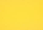 lemon lemon