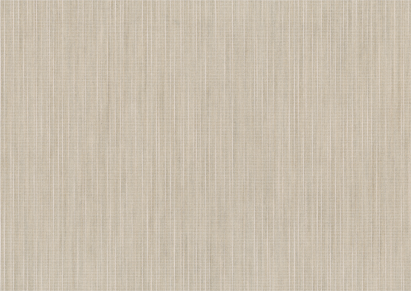 Toile de store: birch (N° de motif: A | 3-629), Collection: evermore, Vue: Lumière transmise