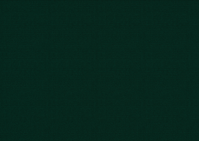 Toile de store: forest (N° de motif: A | 3-853), Collection: hi hello!, Vue: Lumière transmise