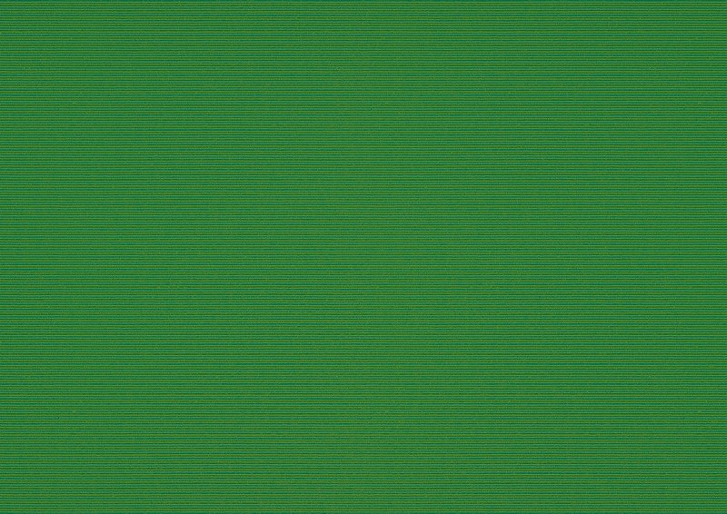 Toile de store: fern (N° de motif: A | 3-860), Collection: hi hello!