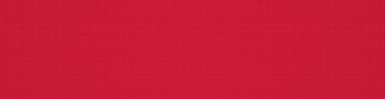 Toile N° de motif: P| 6-335, Collection: my collections