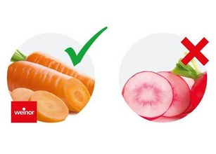 Image comparant une carotte orange à une betterave rouge avec des symboles de validation et d'invalidation. 